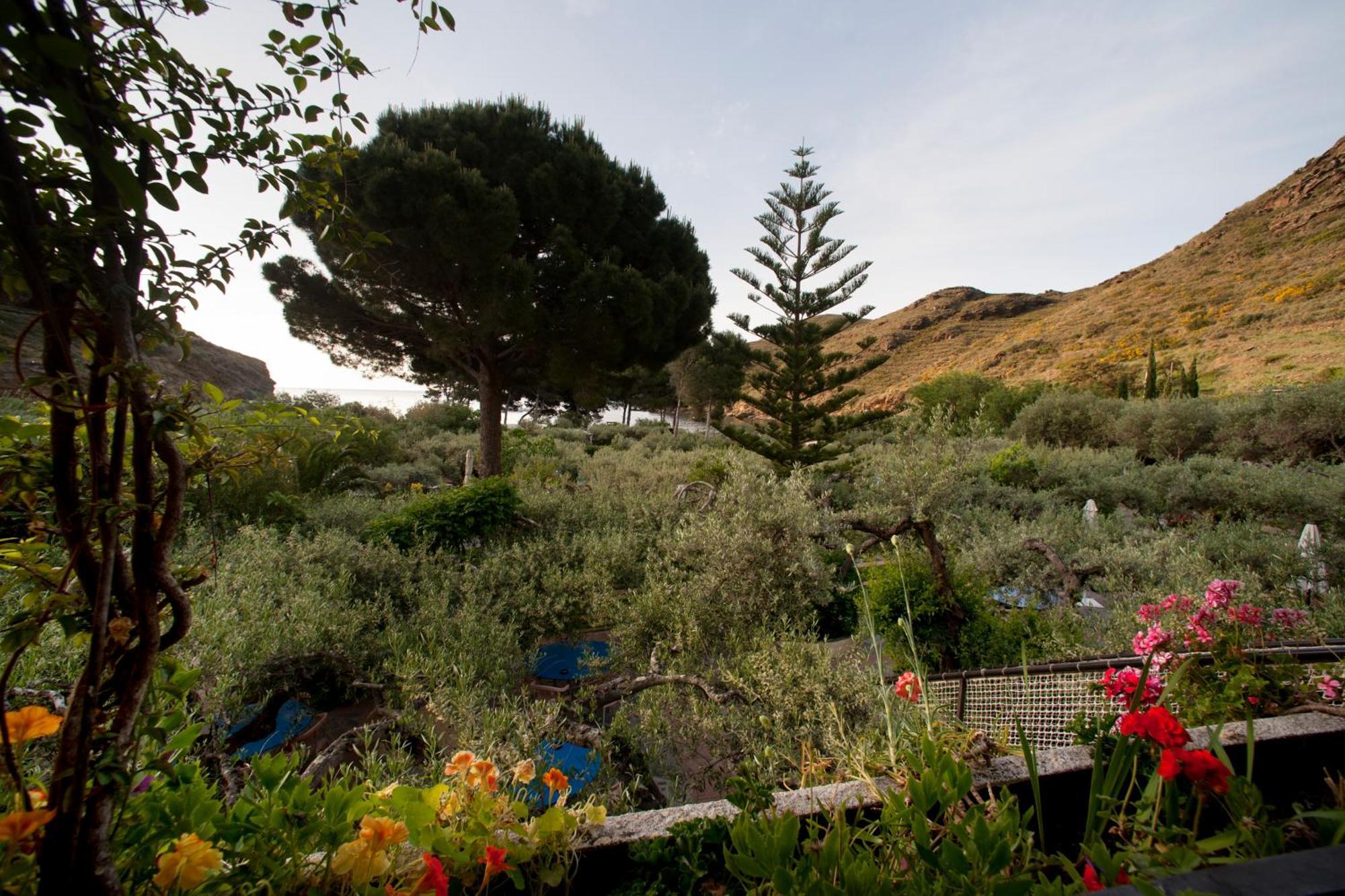 Hotel Cala Joncols Roses Eksteriør bilde