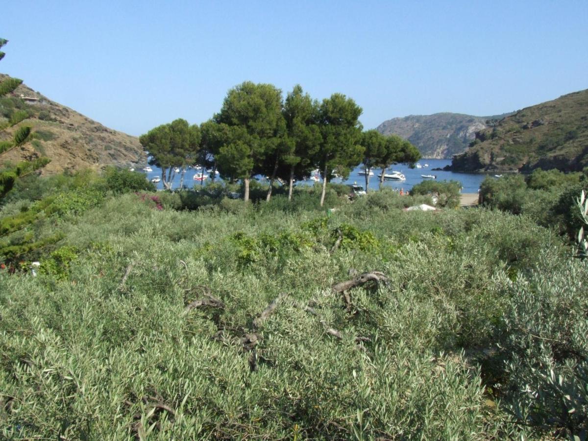 Hotel Cala Joncols Roses Rom bilde